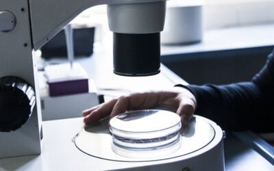 Calidad e innovación COVAP