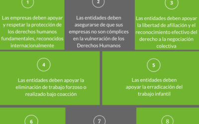 Aceituna Torrent renueva su compromiso con el Pacto Mundial de las Naciones Unidas