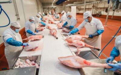 Covap impulsa la transformación cárnica en Los Pedroches con una inversión de 6,5 millones
