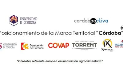 Posicionamiento de la Marca Territorial «Córdoba»