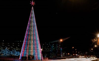Ximenez Group presenta el árbol más grande Estados Unidos
