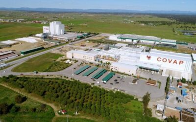 Covap instalará tres plantas de energías renovables en Pozoblanco para el 2023